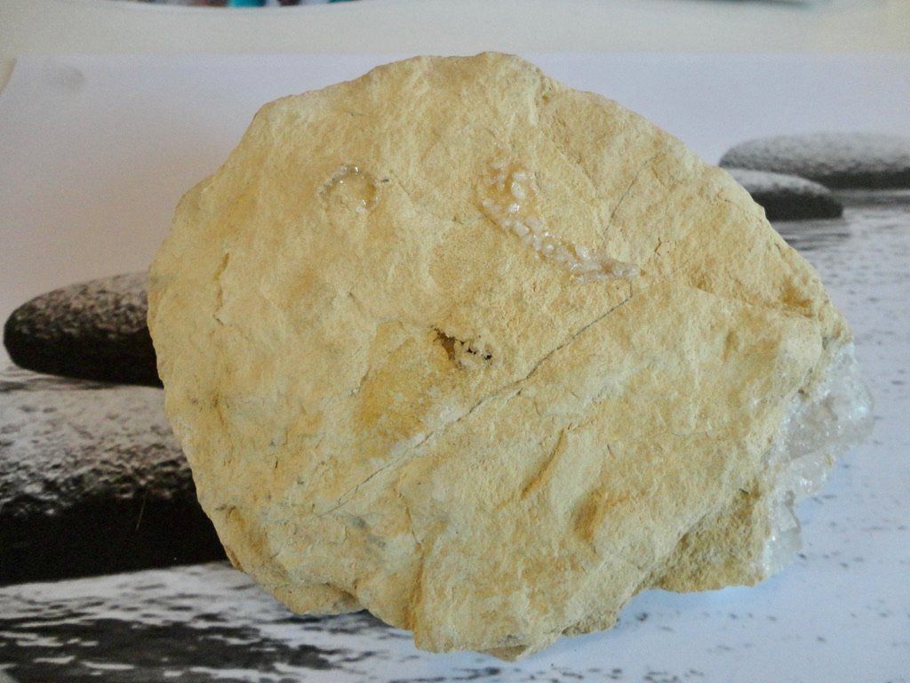 Minerali & Pietre curative: Bergkristall -Gips -  Druse  roh – Nuovo (secondo la descrizione) da Biberist venduto da Steine 3