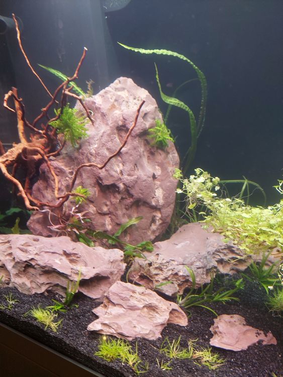 Natürliche Drachenfelsen Für Aquarium – 5 Steine, Gemischte Größen, 2 Kg, Für 2–10 Gallonen