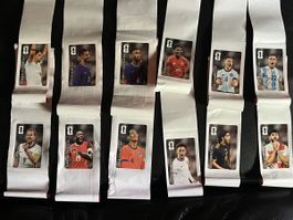 Alle 12 Panini Cola Fussball WM Stickers (Neu)