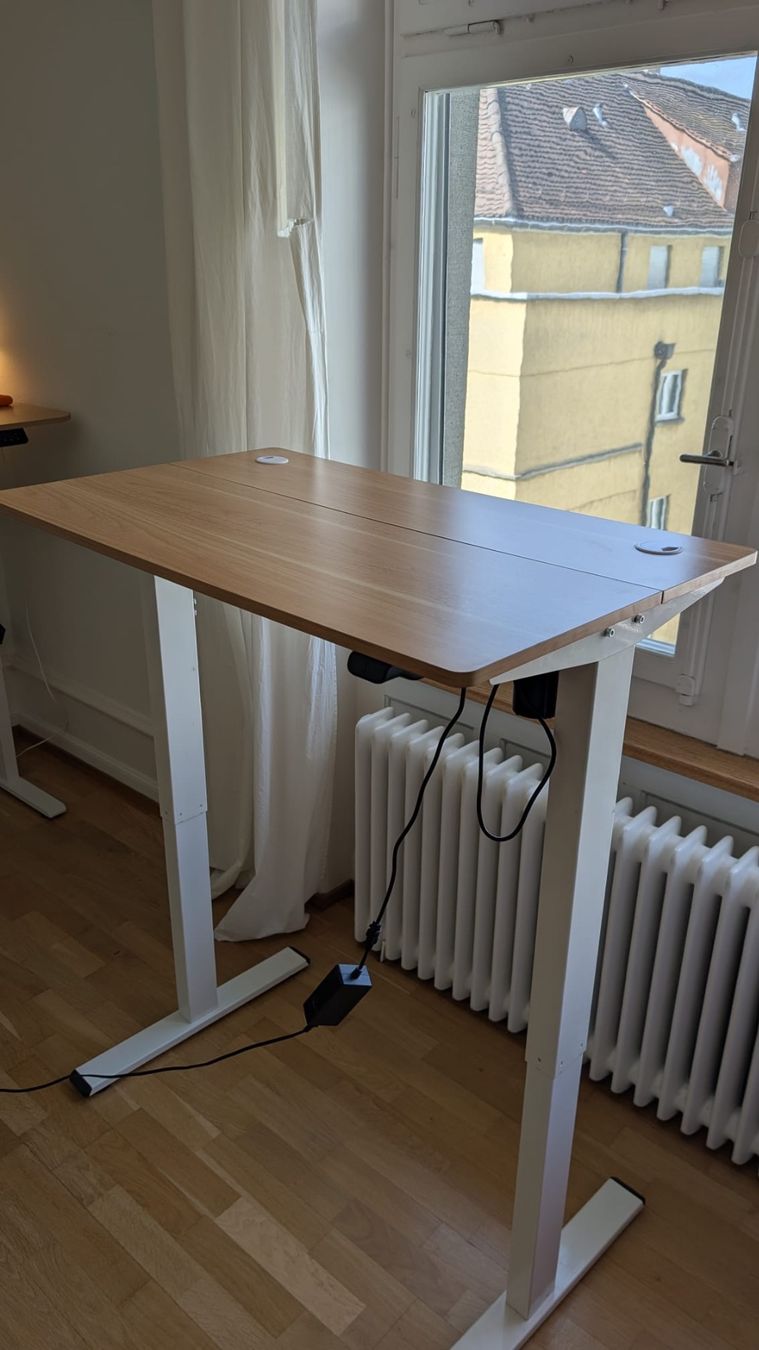 Schreibtische: Standing Desk – Gebraucht aus Zürich von ale_wd5h