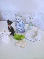 Katzen
