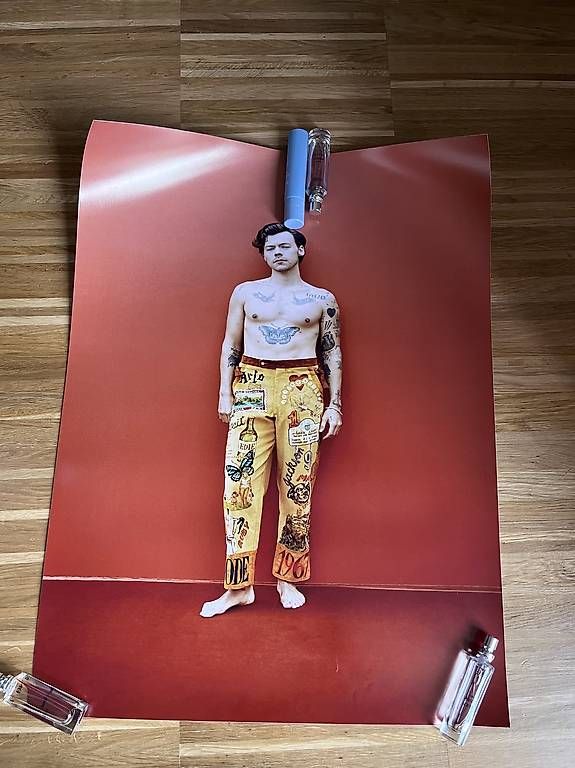 Foto & Immagini: 4 Harry Styles Poster – Usato da Zürich venduto da lia_szs8 4