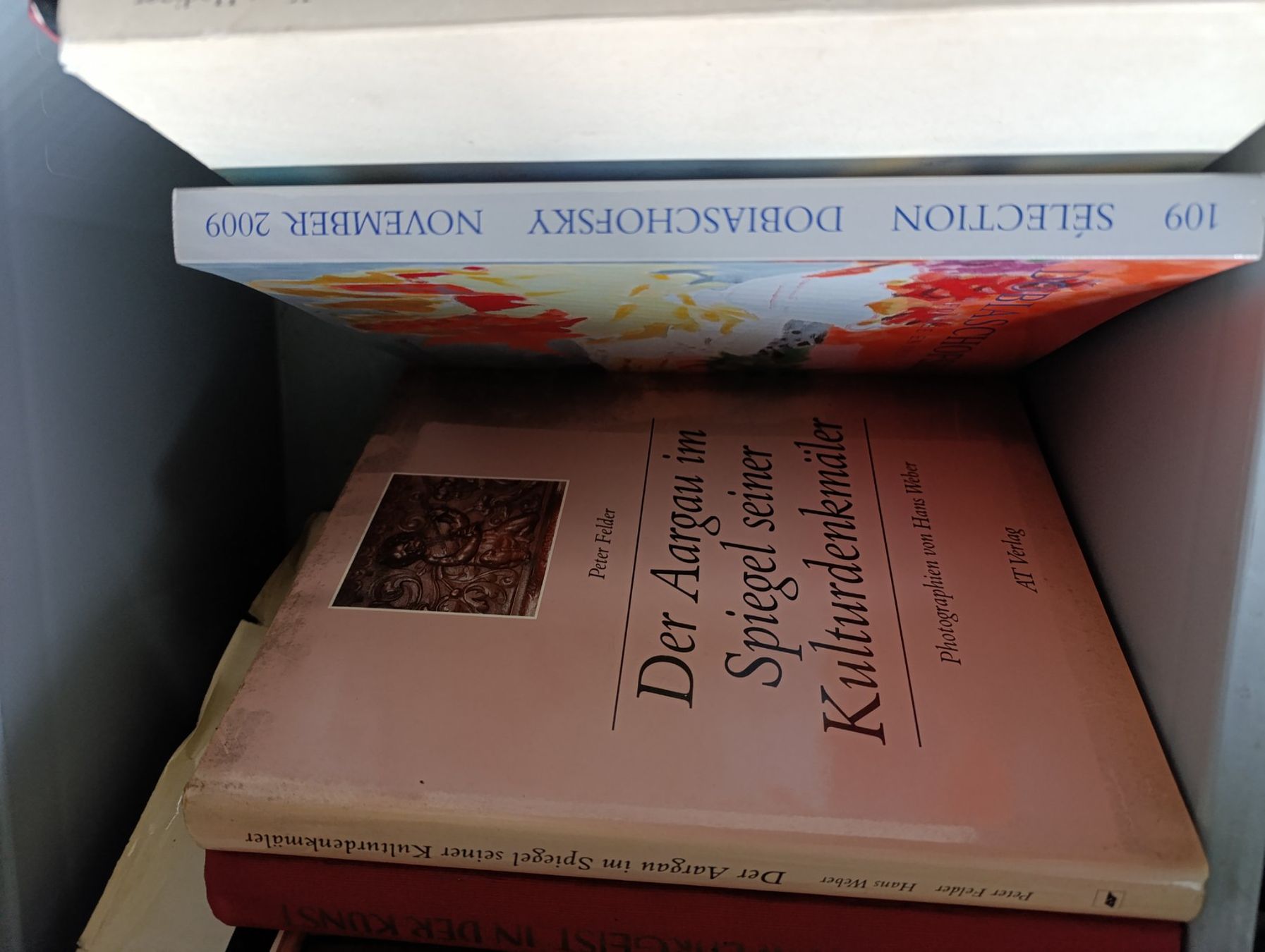 Libri: Lot Kunstbände und -bücher – Usato da zofingen venduto da Blume14 7