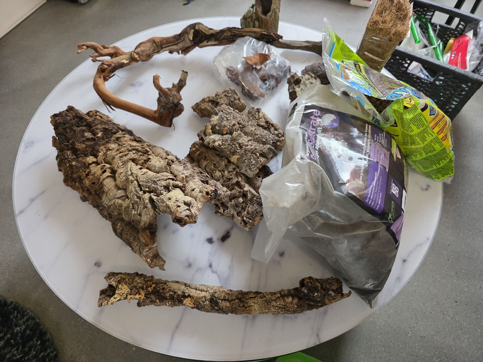 Tutte le decorazioni: Terrarium Einrichtung – Usato da Oberwil (Dägerlen) venduto da sid_b5l6 3
