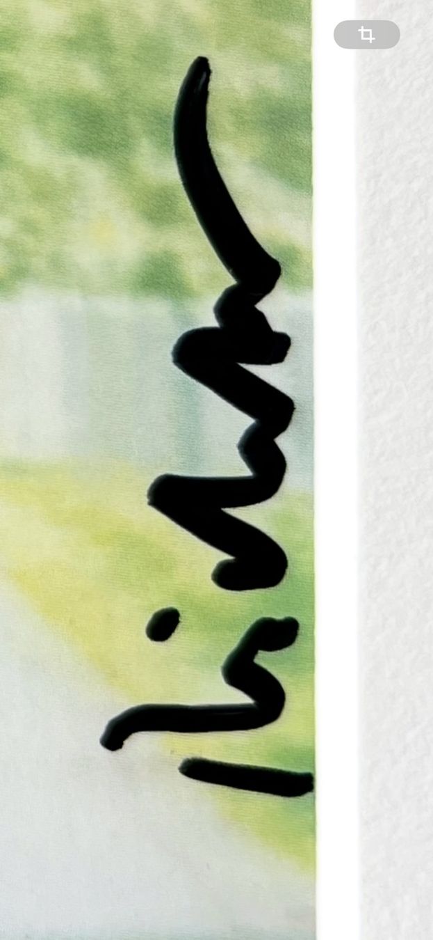 Tableaux: Gerhard Richter, handsigniert – D'occasion à St. Gallen par Boticceli 2