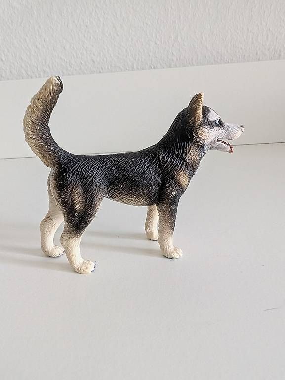 Giocattoli: Schleich Husky Rüde – Usato da Wangen b. Olten venduto da kim_x9zn 2