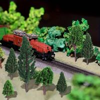 Tannenwald Spur Z, 80 Bäume