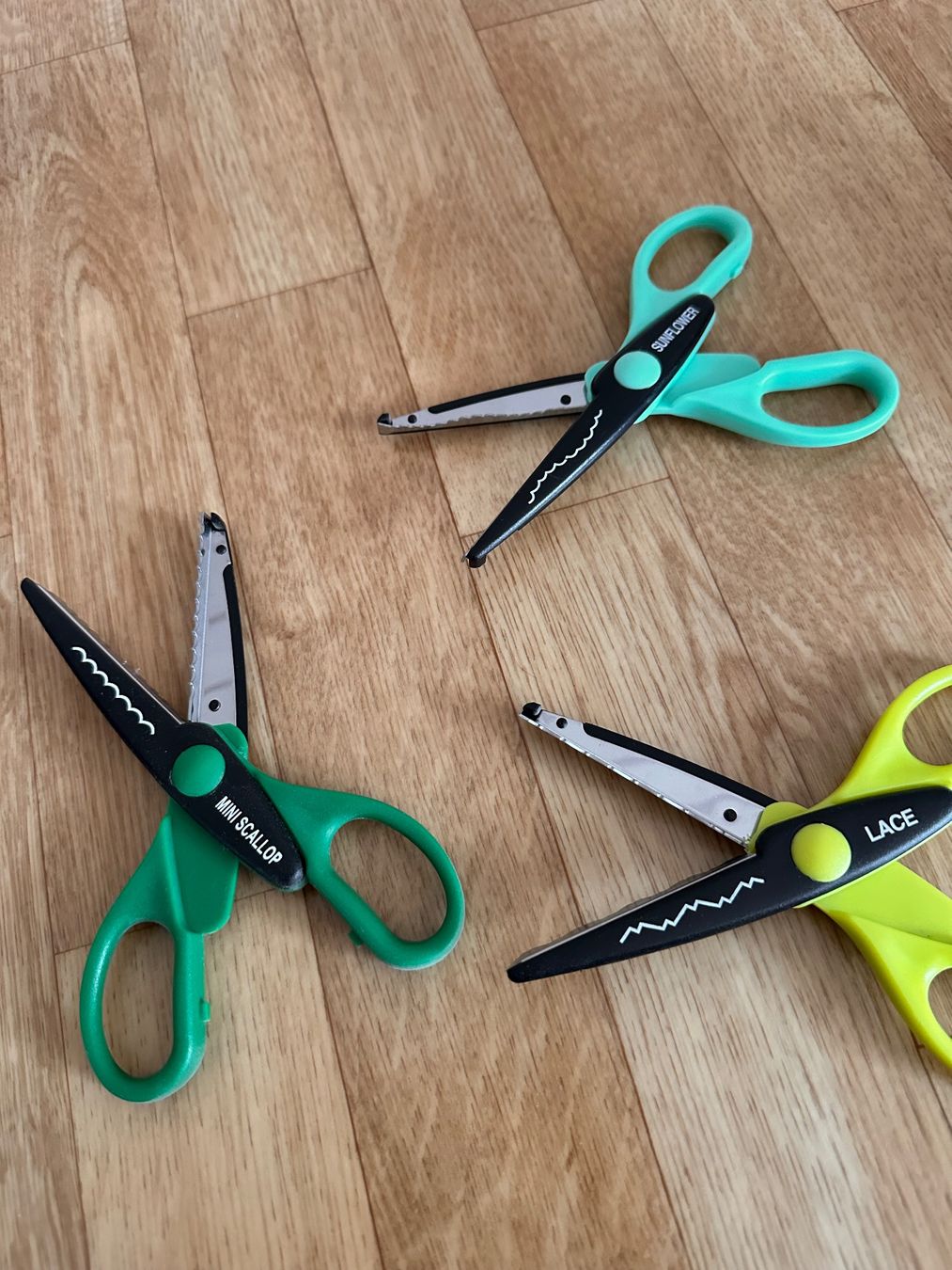 Grafiken & Lithographien: Grosses Bastelscheren Set mit Halter – Gebraucht aus Frauenfeld von locito09 3