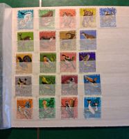 PJ 1966-70 gets.