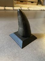 Moulure dent tyrannosaure
