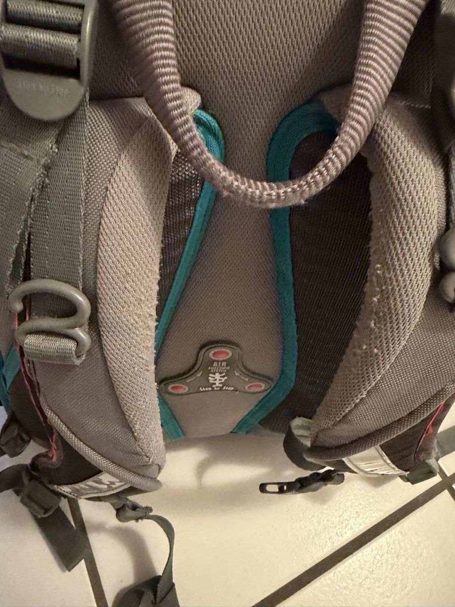 Step by Step Zaini: Schulrucksack Step by Step Drache – Usato da Obergerlafingen venduto da Adrijana77 3