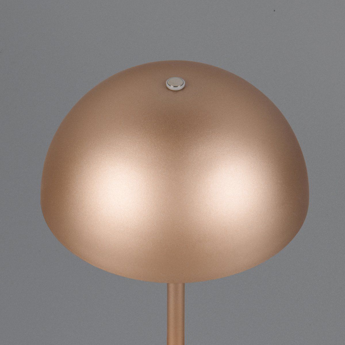 Lampade: LED Tischleuchte, Coffee, 21 cm Höhe – Nuovo (secondo la descrizione) da Kreuzlingen venduto da Smart-Light 6