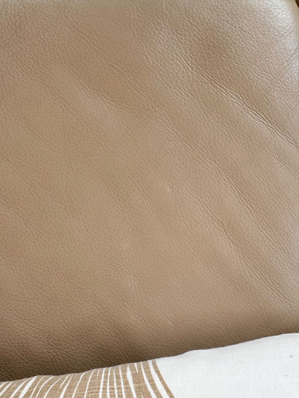 Sofas: Echtleder-Ecksofa, beige - Ewald Schillig QUINTO – Gebraucht aus Zürich von nil_6px8 9