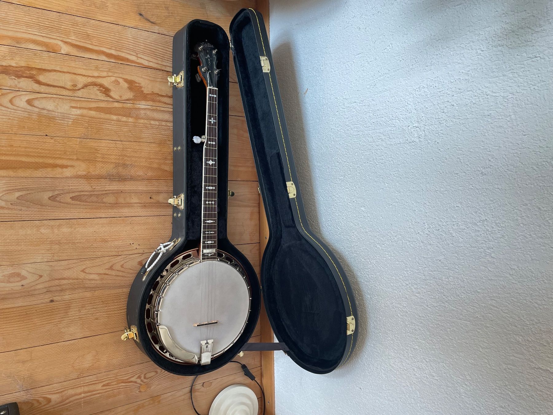 Strumenti musicali: Gold Star 5 String Banjo – Usato da Günsberg venduto da ildierfdivad 2