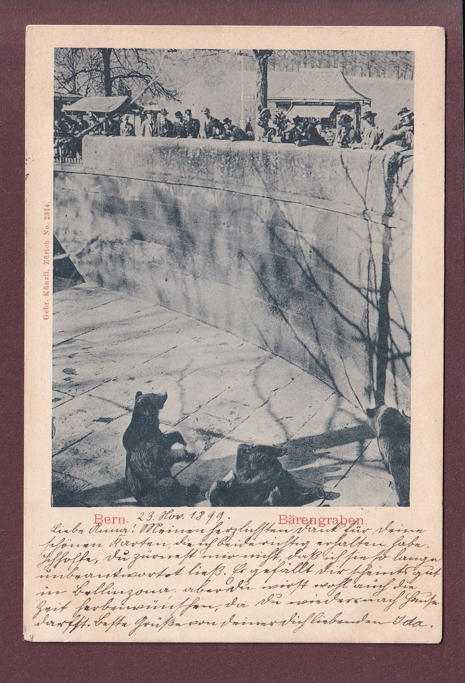 Cartoline postali: BERN - Bärengraben - 1899 – Usato da Pully venduto da nicecards