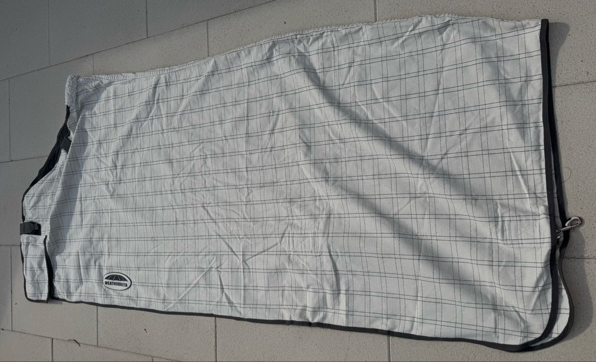 Decken: Originalverpackte, neue Baumwolle Pferdedecke, 165cm – Neu (gemäss Beschreibung) aus Hessigkofen von Rehkitz99 1