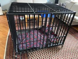 Hundebox für grosse Hunde
