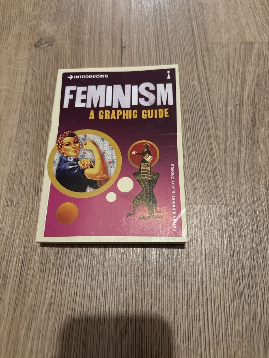 Libri: Feminism. A graphic guide – Usato da Liestal venduto da sei_j5yn
