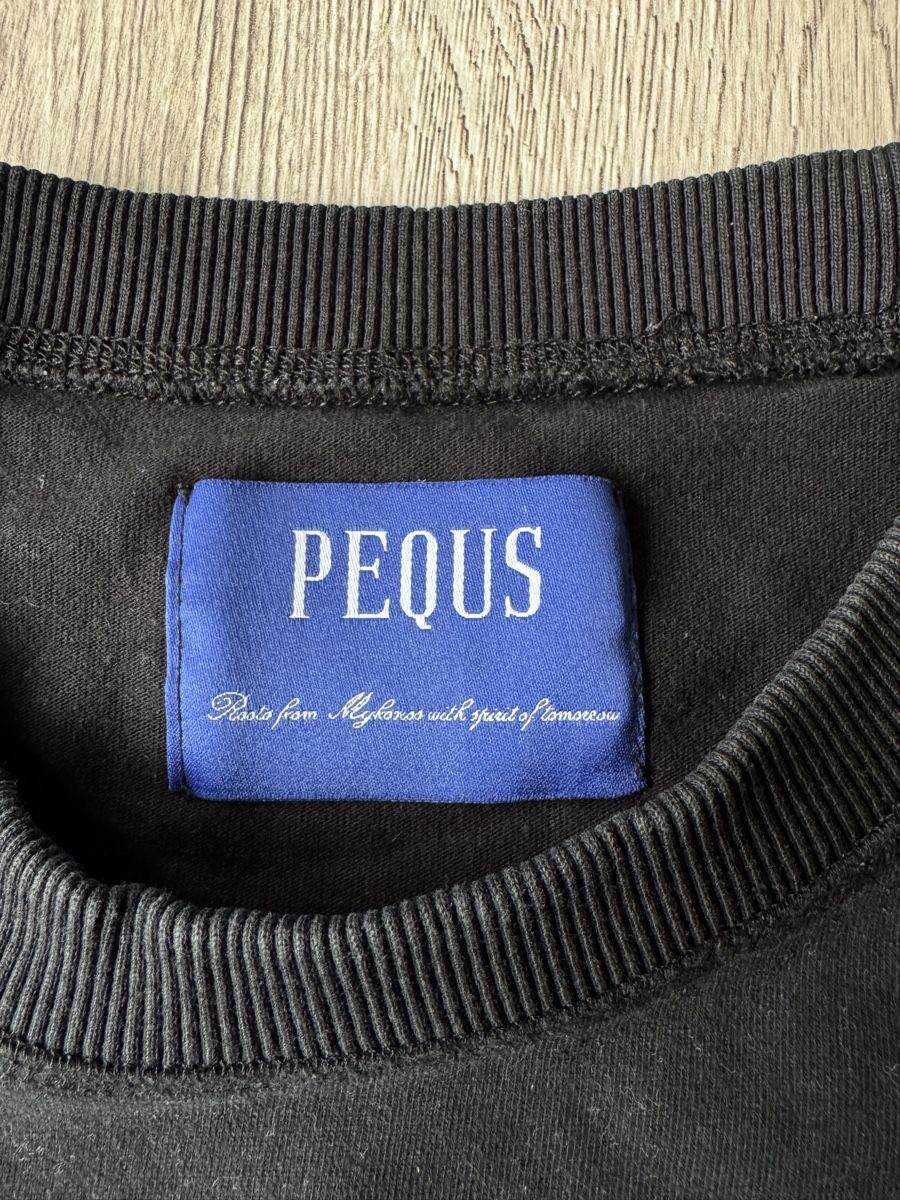 T-shirt: PEQUS Shirt – Usato da Villmergen venduto da van_xv9t 1