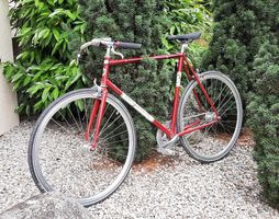 Singlespeed / Fixie