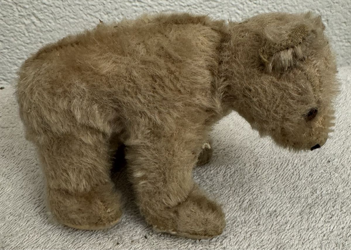 Steiff Giocattoli: Steiff Teddy – Usato da Binningen venduto da kal_5nsj 2