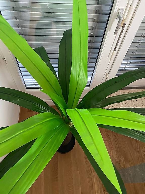 Piante & sementi: Schöne Künstliche Palme – Usato da Thalwil venduto da Simone1992 2