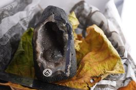 Die (vielleicht) 3kleinste Amethyst-Druse der Welt! 💜 Minas