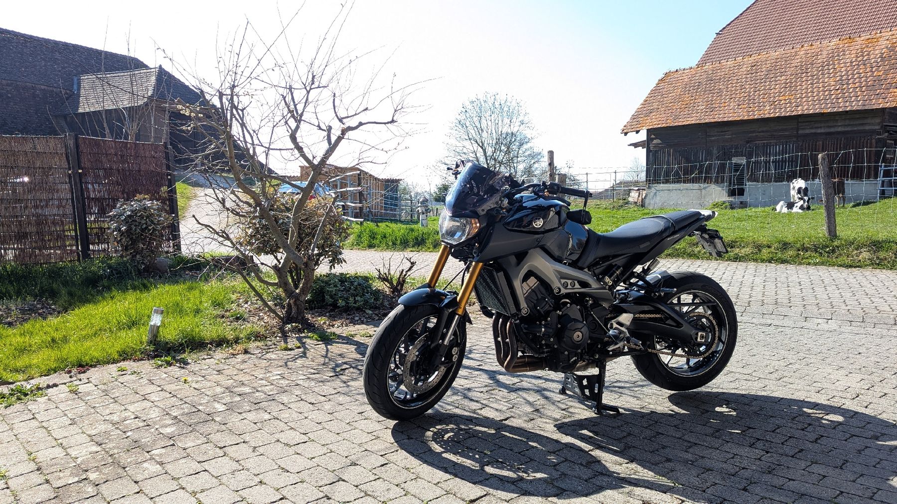 Yamaha Route: Yamaha MT-09 – D'occasion à Murten par yyz_zrr9