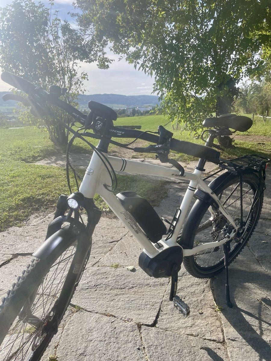 Price Biciclette: S-Pedelec Price E-Bike – Usato da Uster venduto da FRIEDEN8610 6