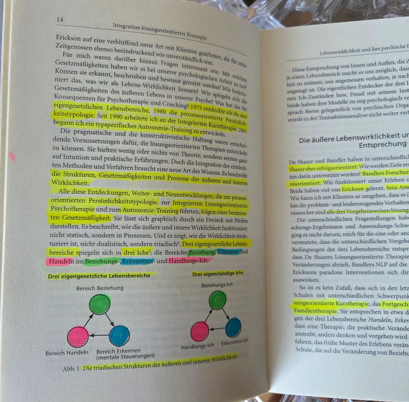 Livres: Buch Psychotherapie und Coaching – D'occasion à Gossau SG par oreliefredy 4