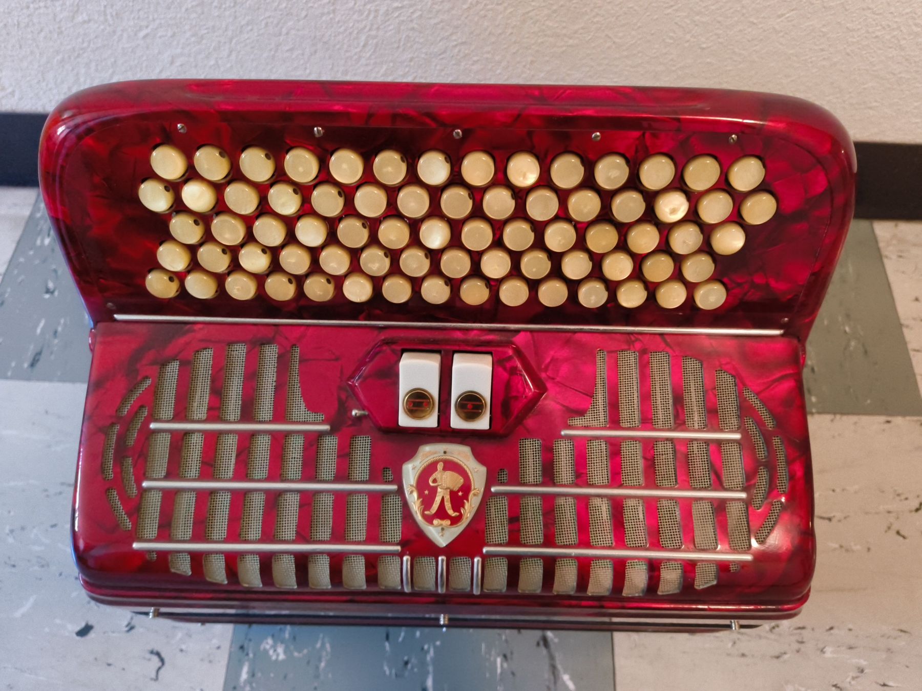 Paolo Soprani Strumenti musicali: Handorgel Herzig Paolo Soprani – Usato da stettlen venduto da VintageBern_ch 1