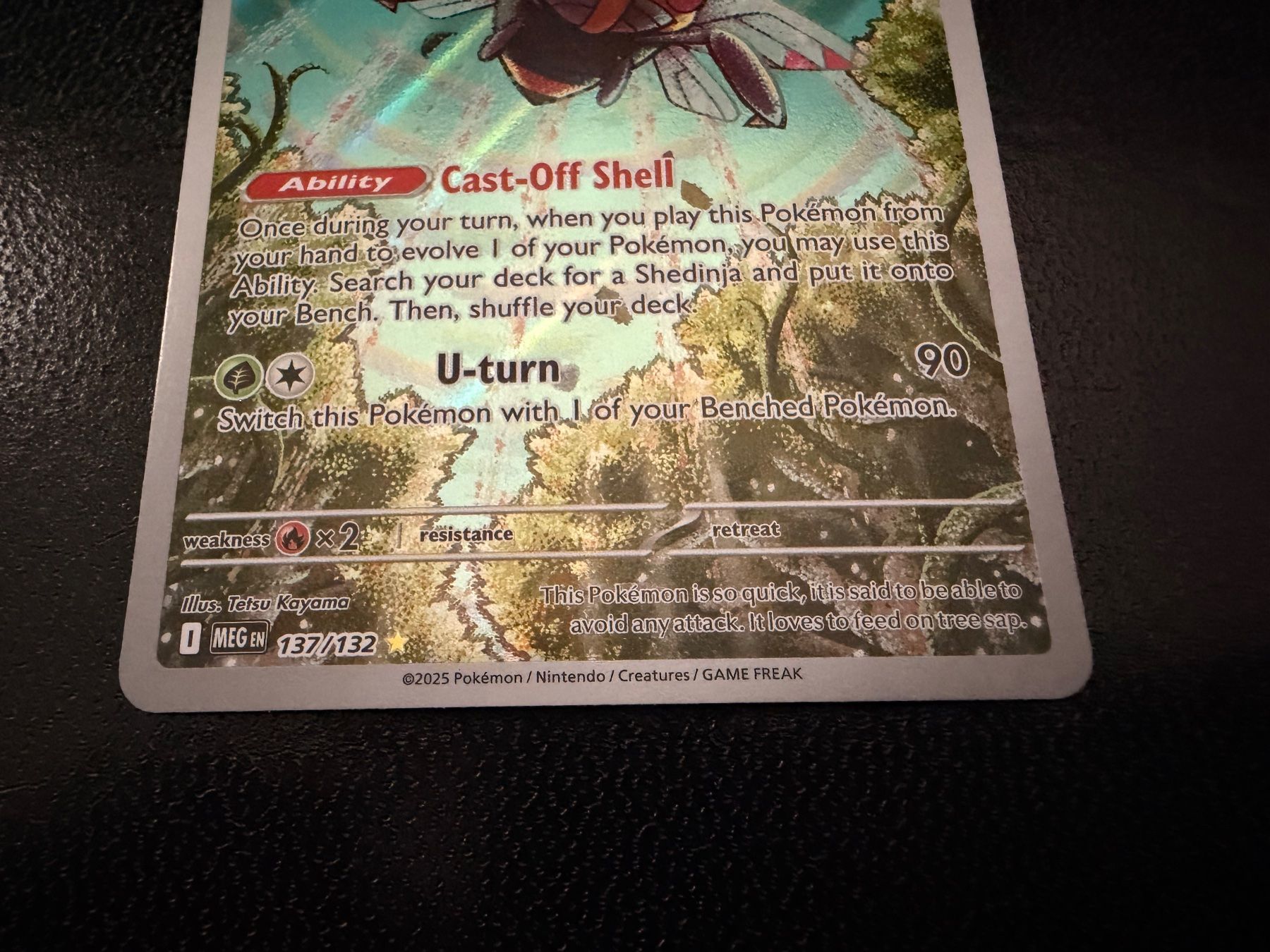 Pokémon Carte collezionabili: Ninjask 137/132 Mega Evolution MEG NM EN – Nuovo (secondo la descrizione) da Luzern venduto da haeppel83 2