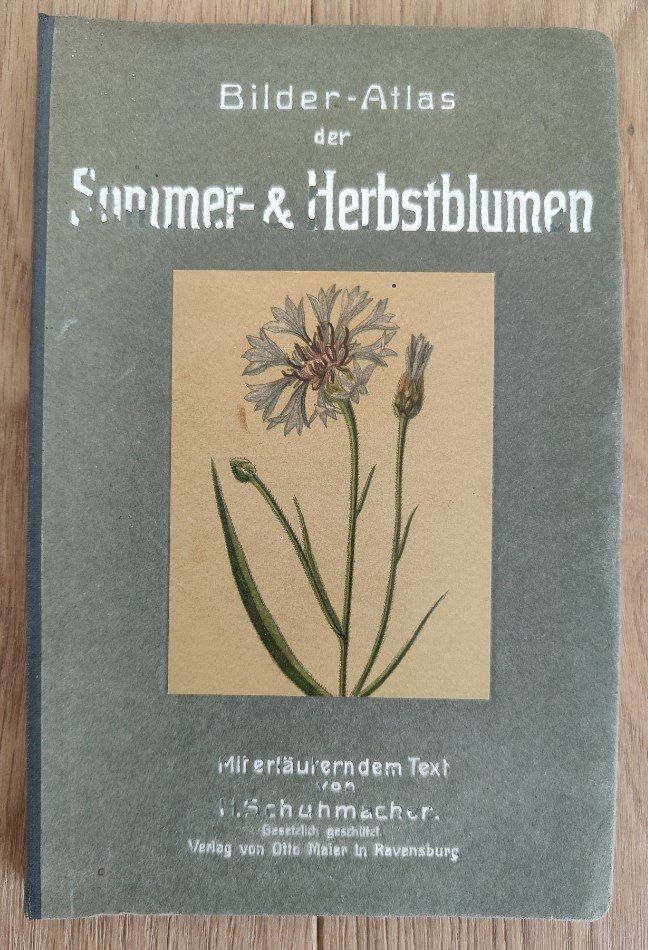 Libri: Bilderatlas Sommer- & Herbstblumen – Usato da Sigriswil venduto da Ricola1977