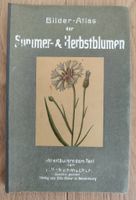 Bilderatlas Sommer- & Herbstblumen