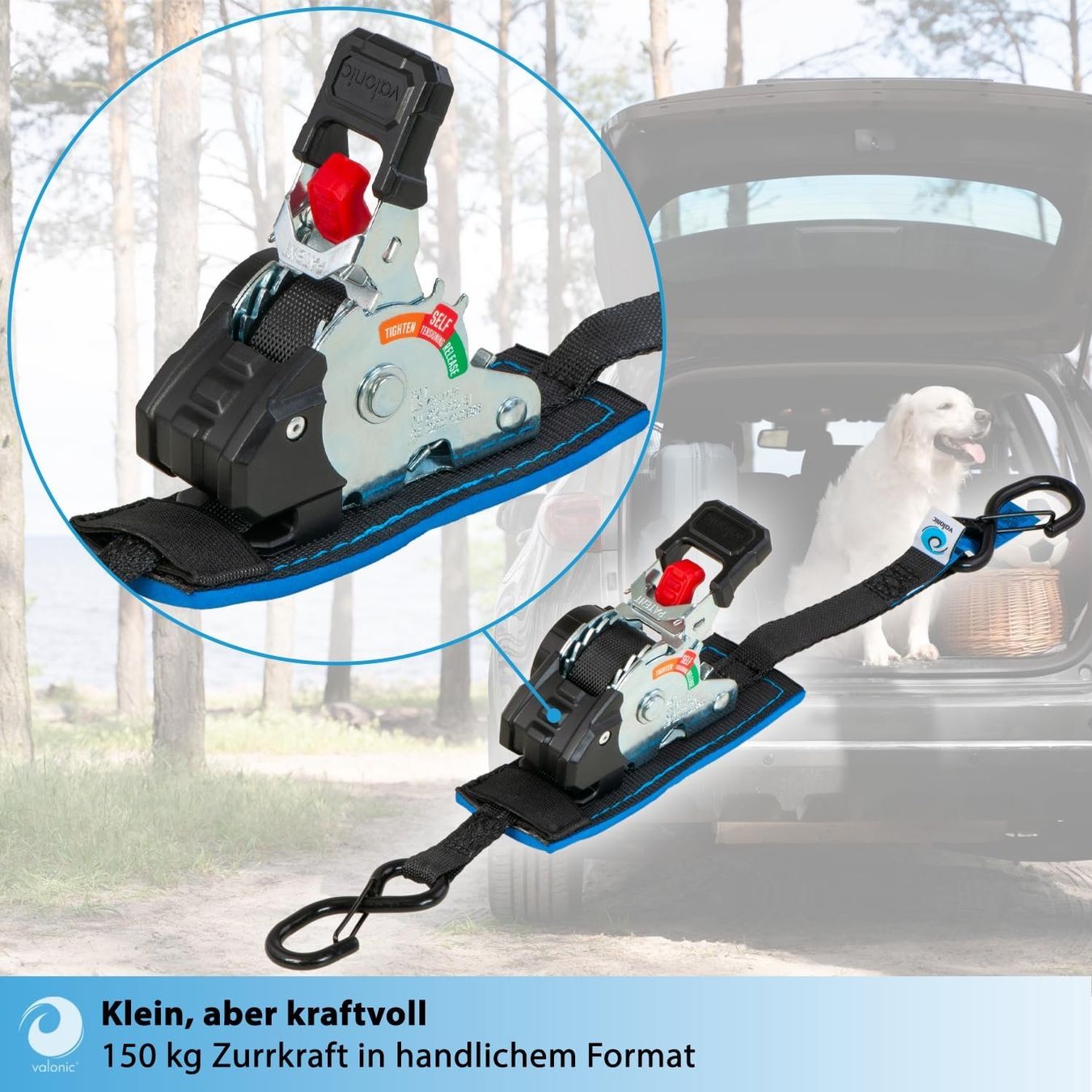 Tutti gli attrezzi: Spanngurte Automatik 2m 2er Set 150kg Mini – Nuovo e nell'imballaggio originale da Suhr venduto da TradeMasters 8