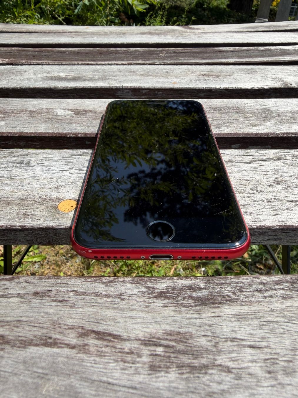 Apple Portables: iPhone SE (2. Generation) – D'occasion à St. Gallen par rah_lr55 4
