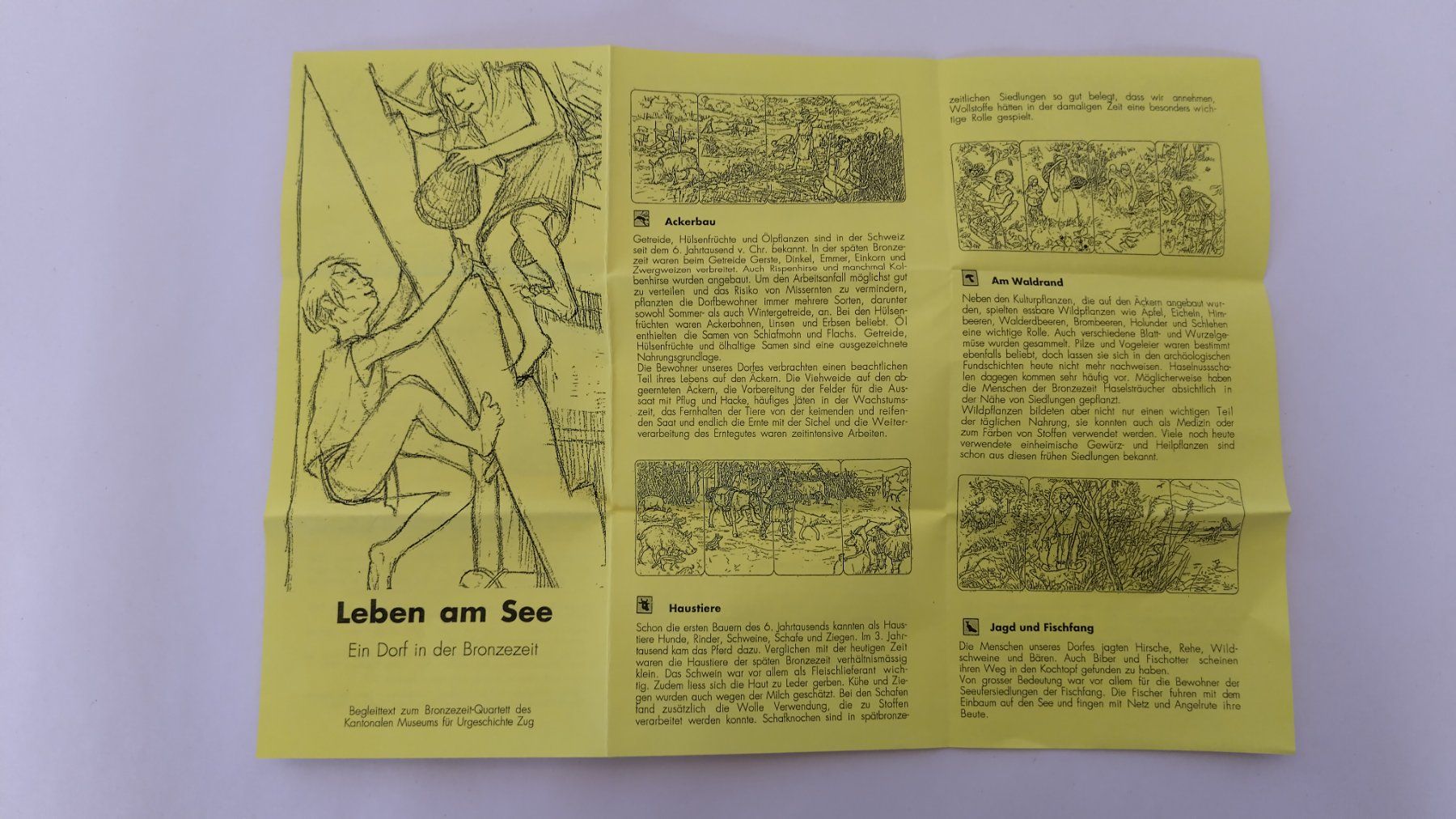 Spiele: Bronzezeit Quartett 1994 / neu ab Fr. 5.- – Neu und originalverpackt aus Bellach von JingleJerry 4