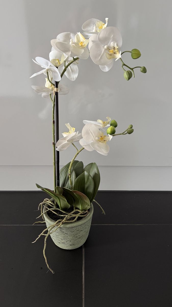 Piante & sementi: Kunstpflanzen Orchideen weiss mit Kunsterde – Usato da Seuzach venduto da ann_w2zc 1