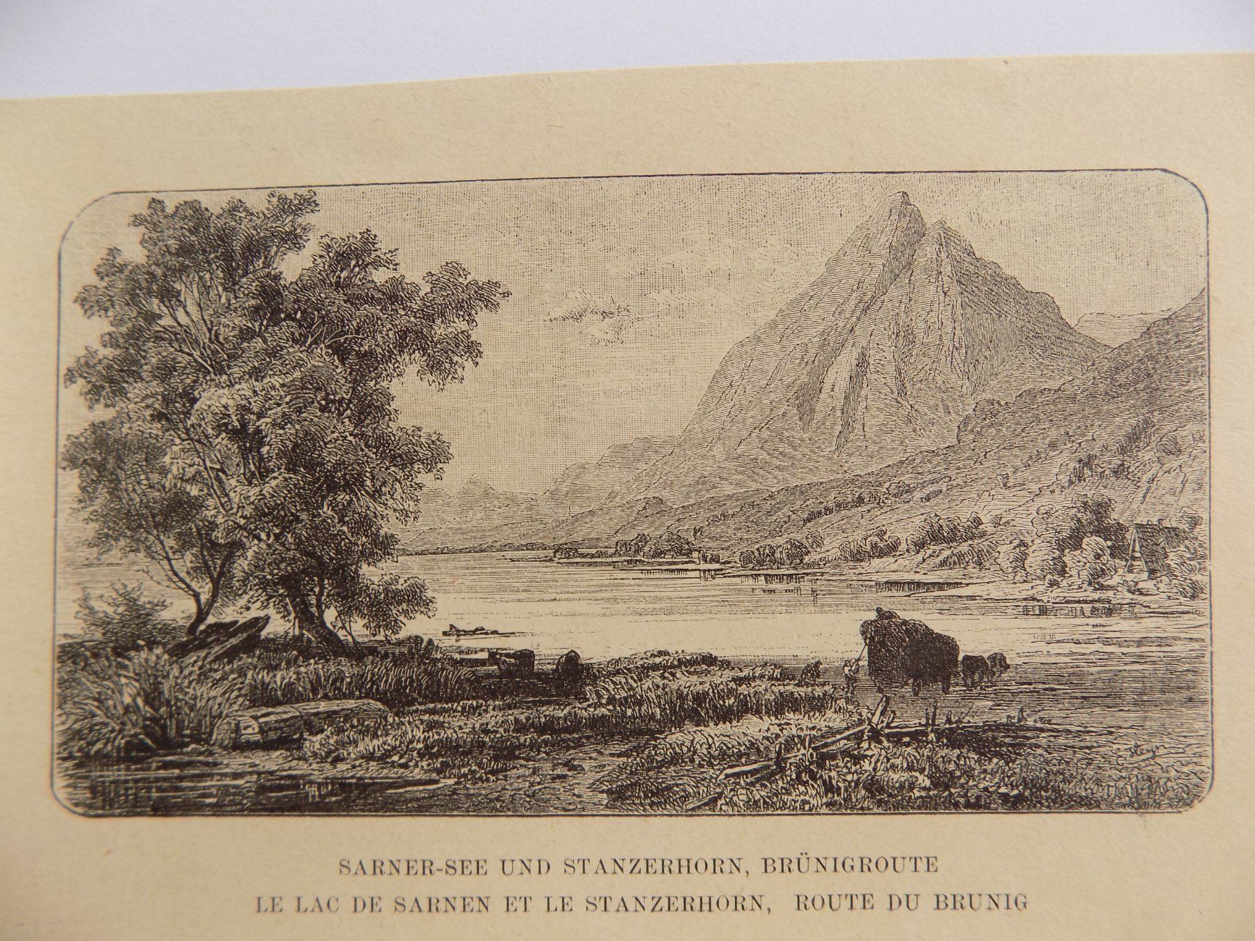 Incisioni: Sarnersee Stanserhorn – Usato da Risch venduto da Rischli15 1