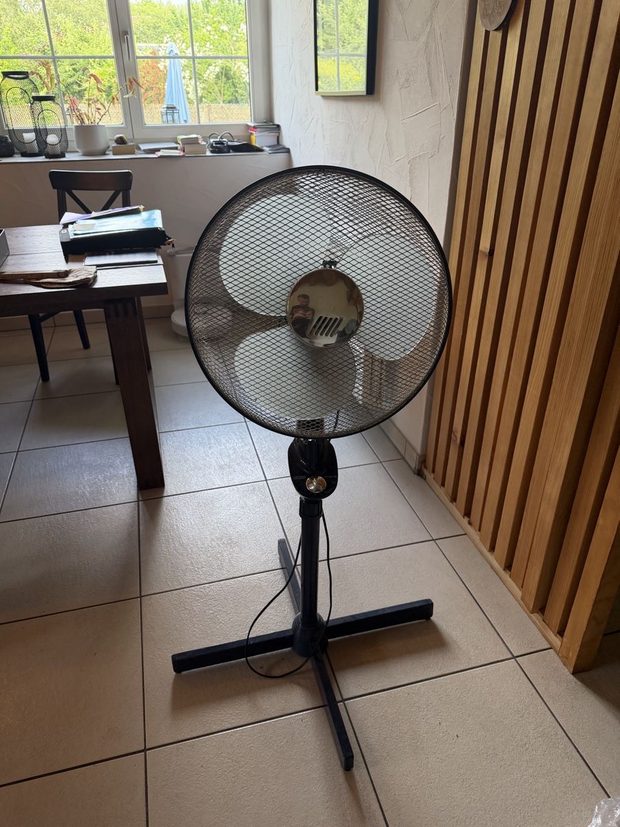 Ventilatori: Satrap Ventilator windy 46 – Usato da Rifferswil venduto da tin_xqr5 2