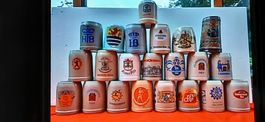 Sammlungsauflösung: 20+ Bierkrüge aus diversen Regionen