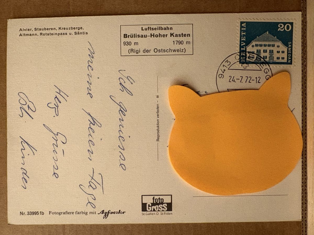 Cartoline postali: AK von Alvier mit Bergpanorama – Usato da Rümlang venduto da Kartenpost1 1