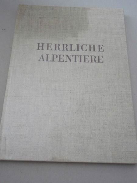 Libri: Herrliche Alpentiere – Usato da Chur venduto da omonia