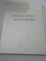 Herrliche Alpentiere