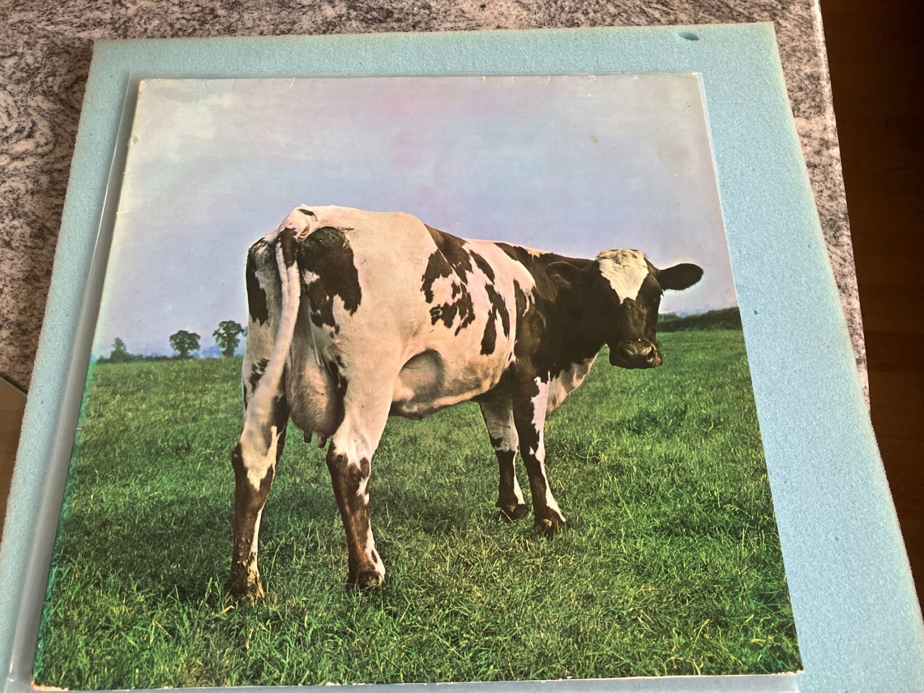 Dischi in vinile: Pink Floyd – Usato da Aarwangen venduto da Jukebox3