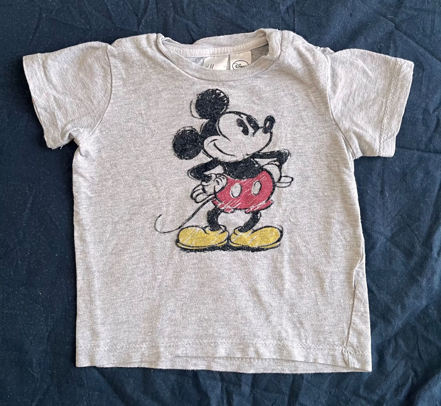 H&M Camicie, Top & T-shirt: T-Shirt, Grösse 74 – Usato da Triboltingen venduto da zimtsterndli5
