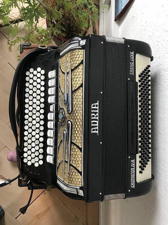 Strumenti musicali: Accordéon – Usato da La Chaux-de-Fonds venduto da Polenta02 1