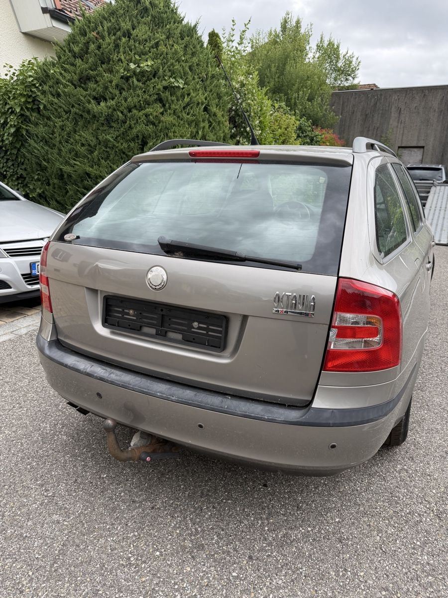 Tutti pezzi di ricambio auto: Skoda Octavia  Teile Schlachten  – Usato da Geiss venduto da luk_cnw8 1