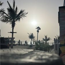 Profile image of sunset.