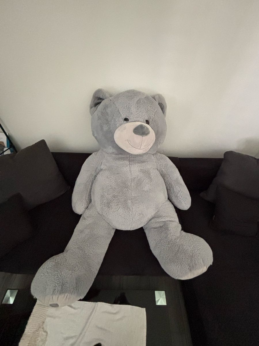 Manor Spielzeuge: riesen Teddybär – Neu (gemäss Beschreibung) aus Menziken von jul.kl